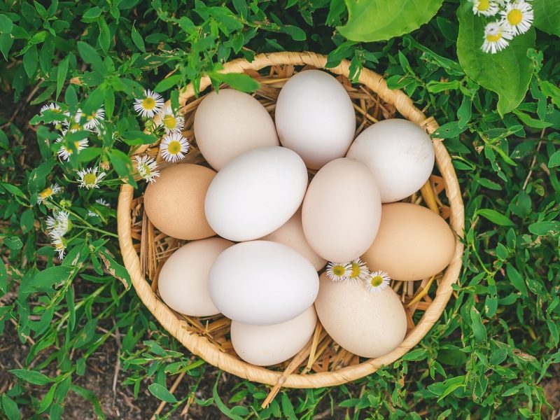 homemade-chicken-eggs-in-a-basket-selective-focus-2022-07-01-16-37-27-utc-min.jpg